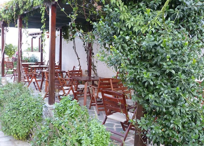 Sun Rise Αμμουλιανή